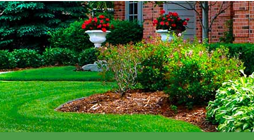 Massachusetts lawn care